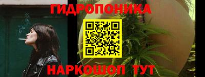 хмурый Абакан