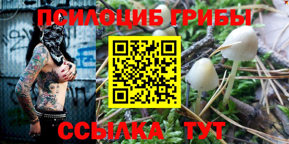 Псилоцибиновые грибы MAGIC MUSHROOMS  Вход с VPN  Апрелевка 